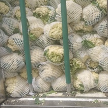 菜花