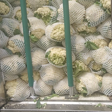 菜花