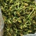 花菜干新货花菜干花椰菜干货菜类食材大全火锅商用干花菜脱