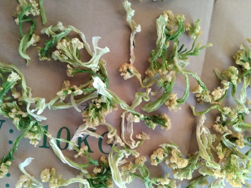 花菜干新货花菜干花椰菜干货菜类食材大全火锅商用干花菜脱