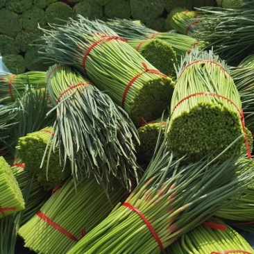 甄选山东好蒜苔，品质好，价格优