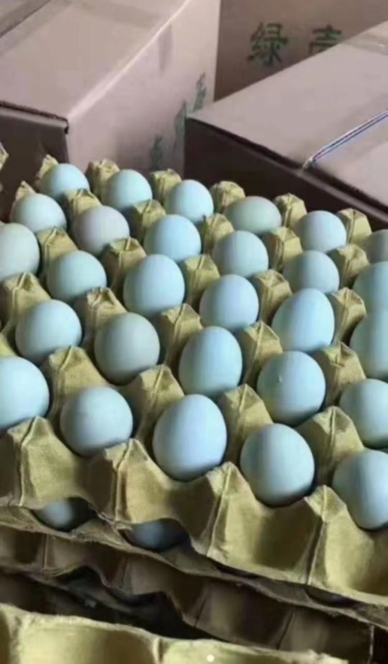 绿壳鸡蛋精品一手货源价格美丽，有需要的老板请联系！！！！