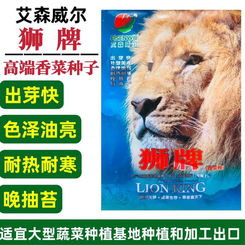 狮牌四季大叶香菜种子叶片大香味浓抗热耐寒进口种子芫荽种子