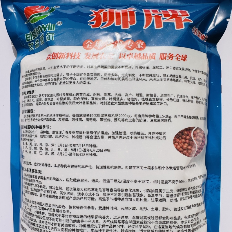 狮牌四季大叶香菜种子叶片大香味浓抗热耐寒进口种子芫荽种子