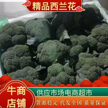 精品西蓝花，一手货源，量大从优，价格美丽