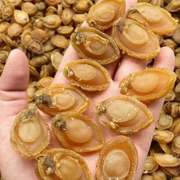 E厂100头大连鲍鱼,一件165,鲍芯结实干度好，干爽不粘手