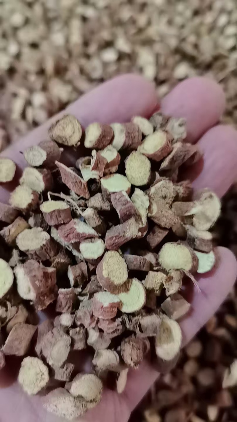 甘草58丁甘肃定西基地直供一手货源质量保证欢迎订购