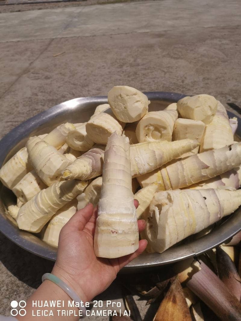 笋干