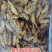 黑水虻，高蛋白，吸收好，动物适口性好，能增强抗病能力