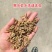 黑水虻，高蛋白，吸收好，动物适口性好，能增强抗病能力