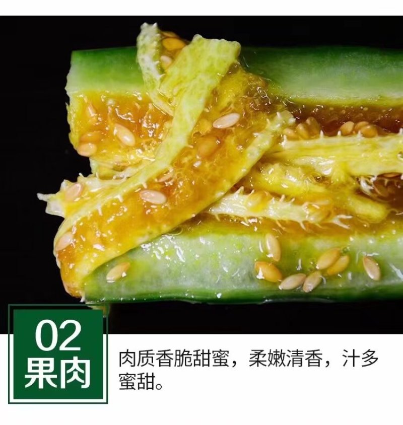羊角蜜甜瓜山东寿光温室大棚头茬羊角蜜甜瓜