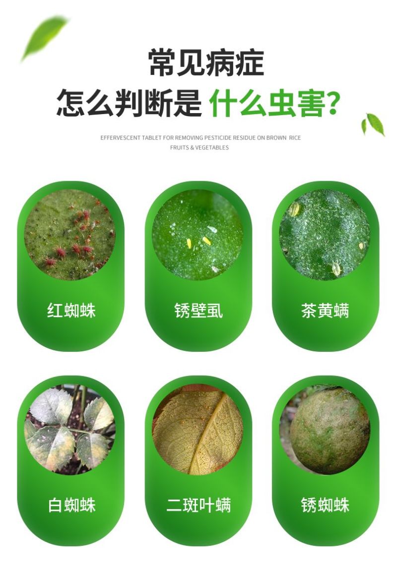 45%联肼乙螨唑剂杀虫剂柑橘树红蜘蛛克星杀螨剂