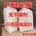 （食用菌）古田特产精品装长裙竹荪新货无硫竹荪