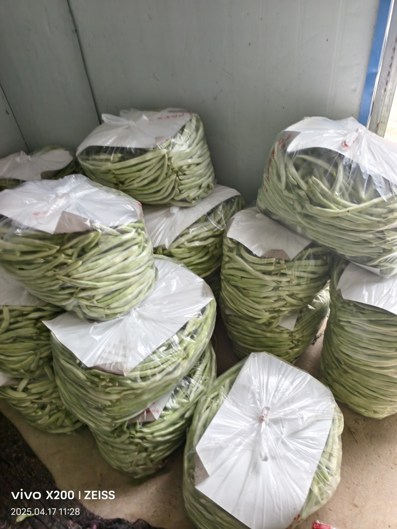 白不老，大量上市欢迎你的到来