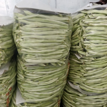 白不老，大量上市欢迎你的到来
