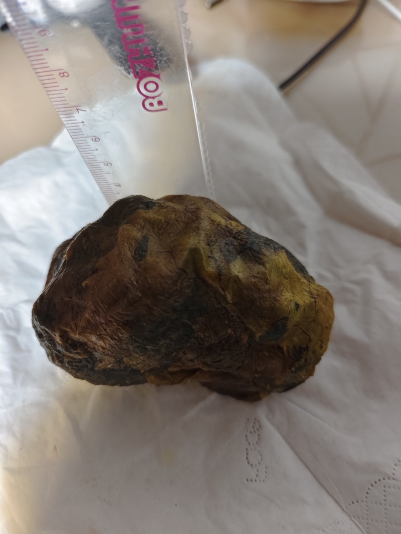 鸡宝2两重