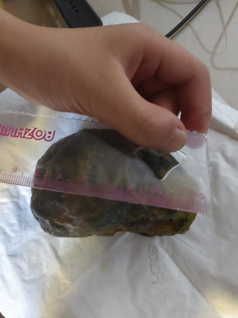 鸡宝2两重