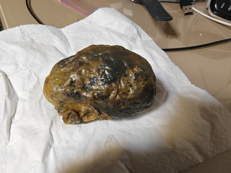 鸡宝2两重
