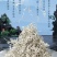茶马名珠特级芽尖莓茶
