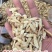 黄芪片地摊电商批发产地货源手工挑选无熏硫黄芪干片干黄芪