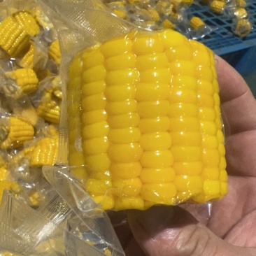 开袋即食水果玉米段真空水果玉米香甜电商货