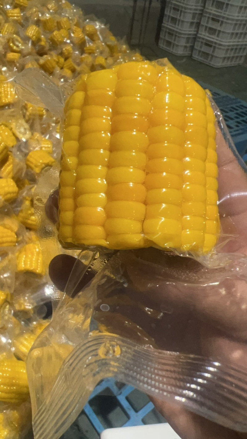 开袋即食水果玉米段真空水果玉米香甜电商货