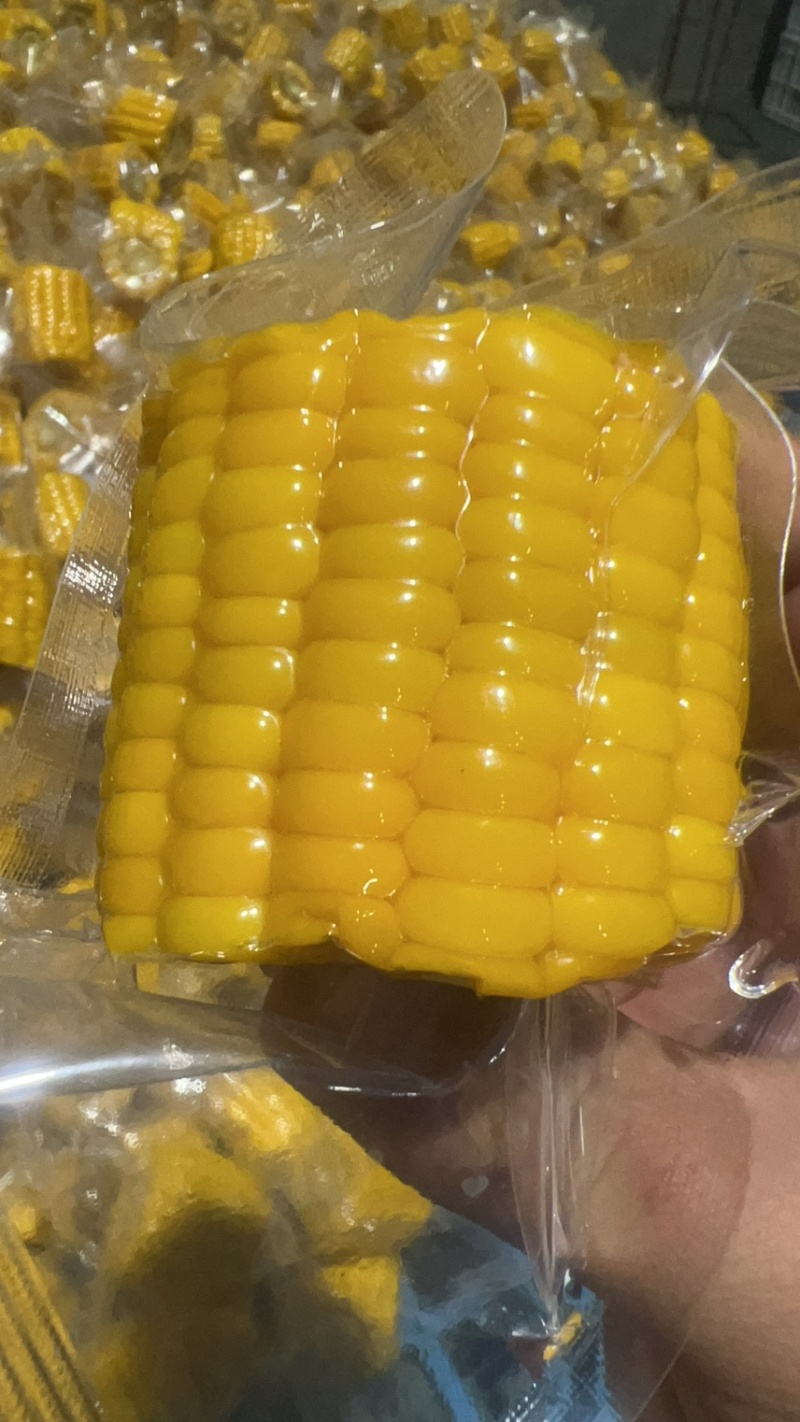 开袋即食水果玉米段真空水果玉米香甜电商货