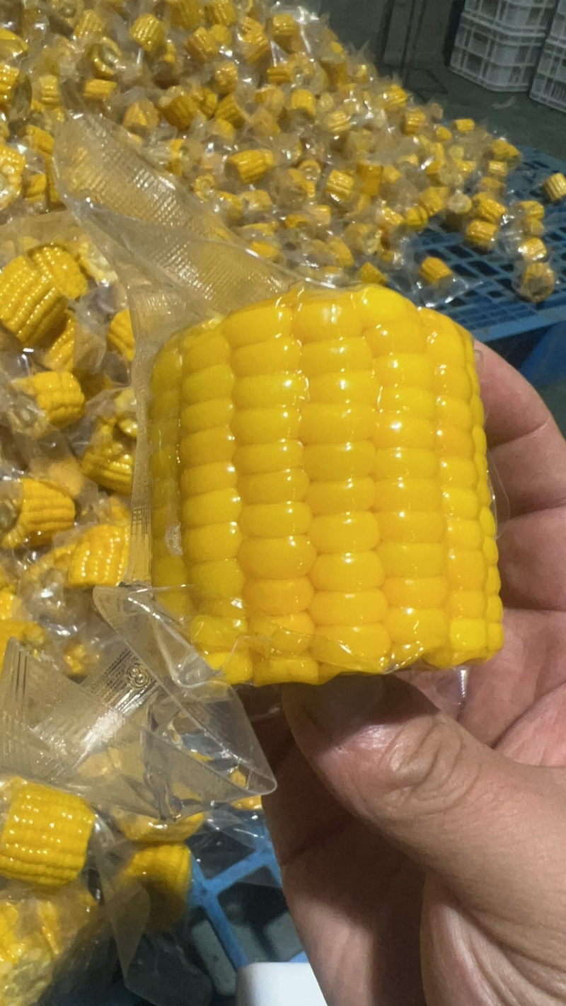 开袋即食水果玉米段真空水果玉米香甜电商货