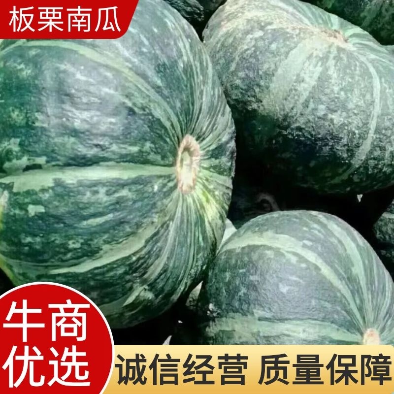 板栗南瓜，贝贝南瓜