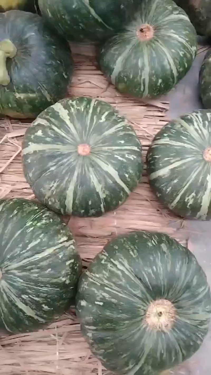 板栗南瓜，贝贝南瓜