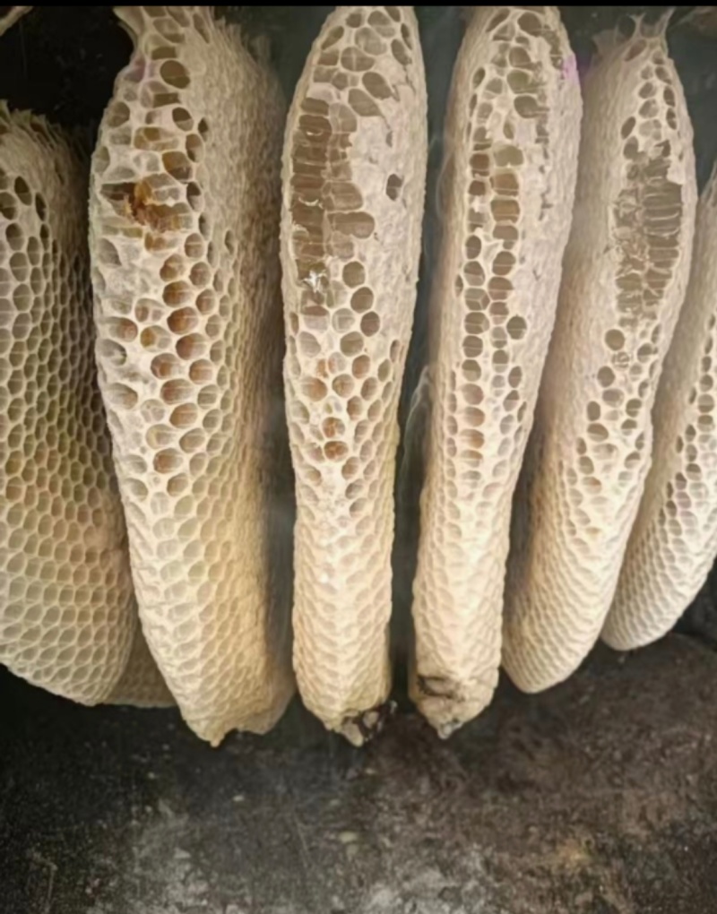 野生蜂蜜