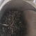 青钱柳嫩芽茶（现采现制，需预定）100斤起售