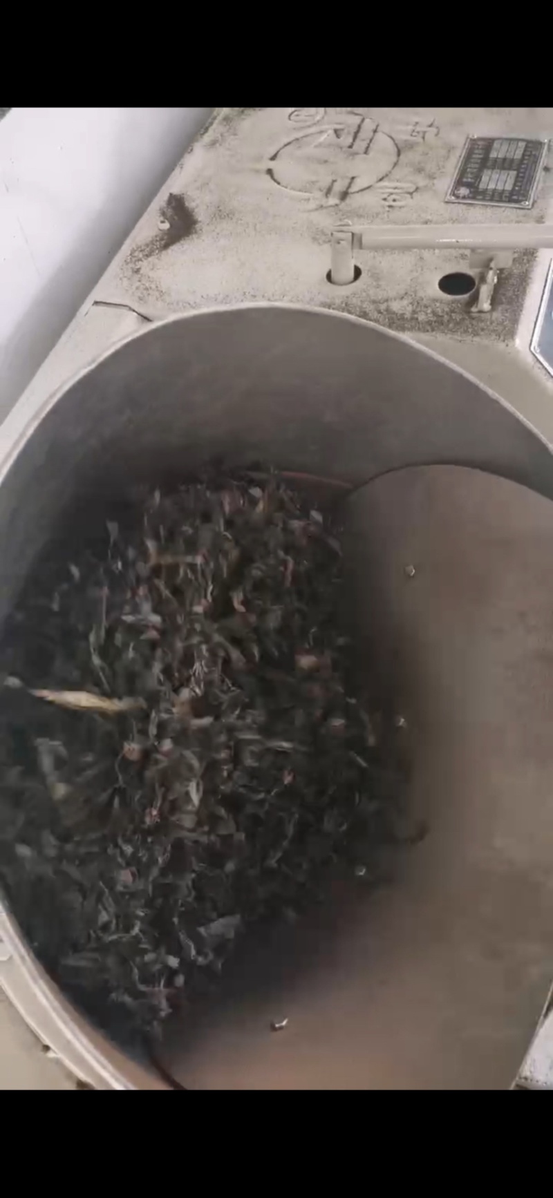 青钱柳嫩芽茶（现采现制，需预定）100斤起售