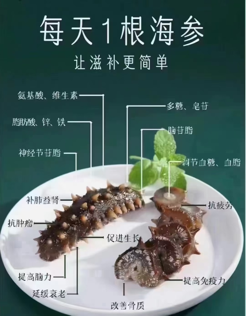 精品半干海参2025质量保证量大从优质量保证欢迎咨询