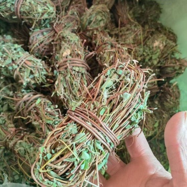鸡骨草。精选鸡骨草无硫青靓足干，广东省内包邮