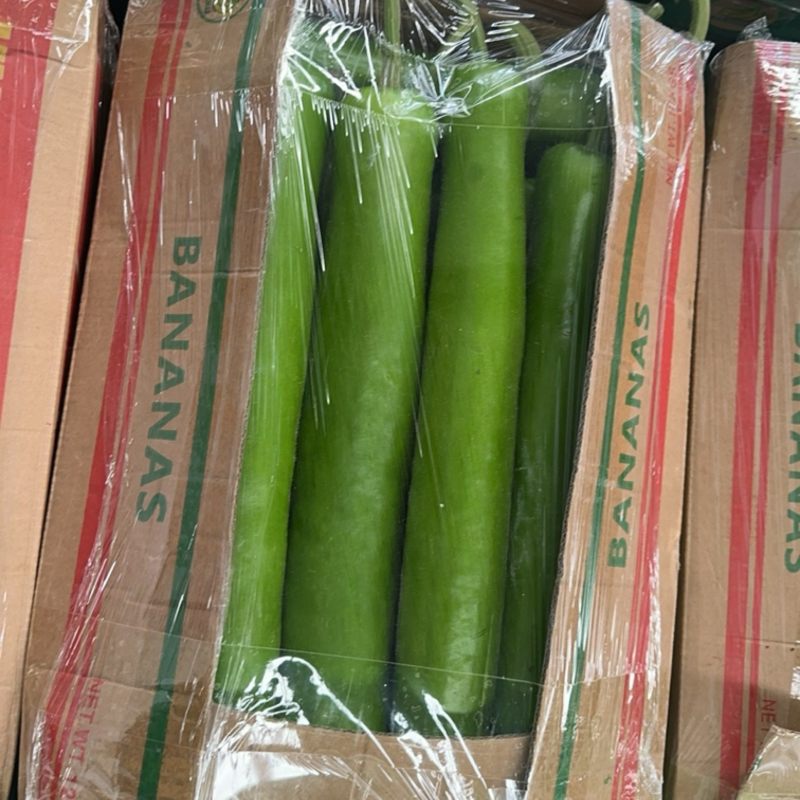 精品瓠瓜