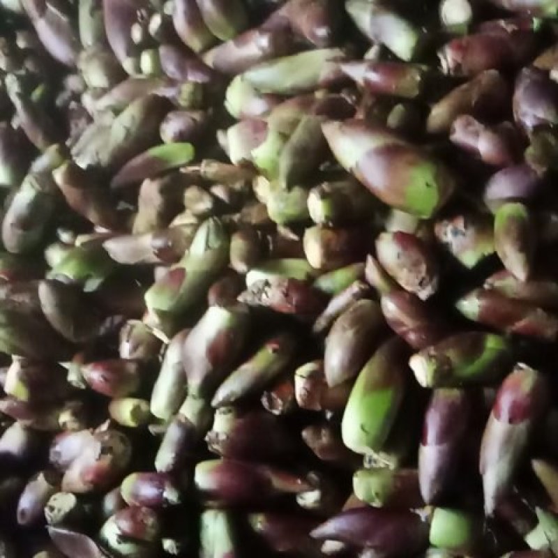 野菜