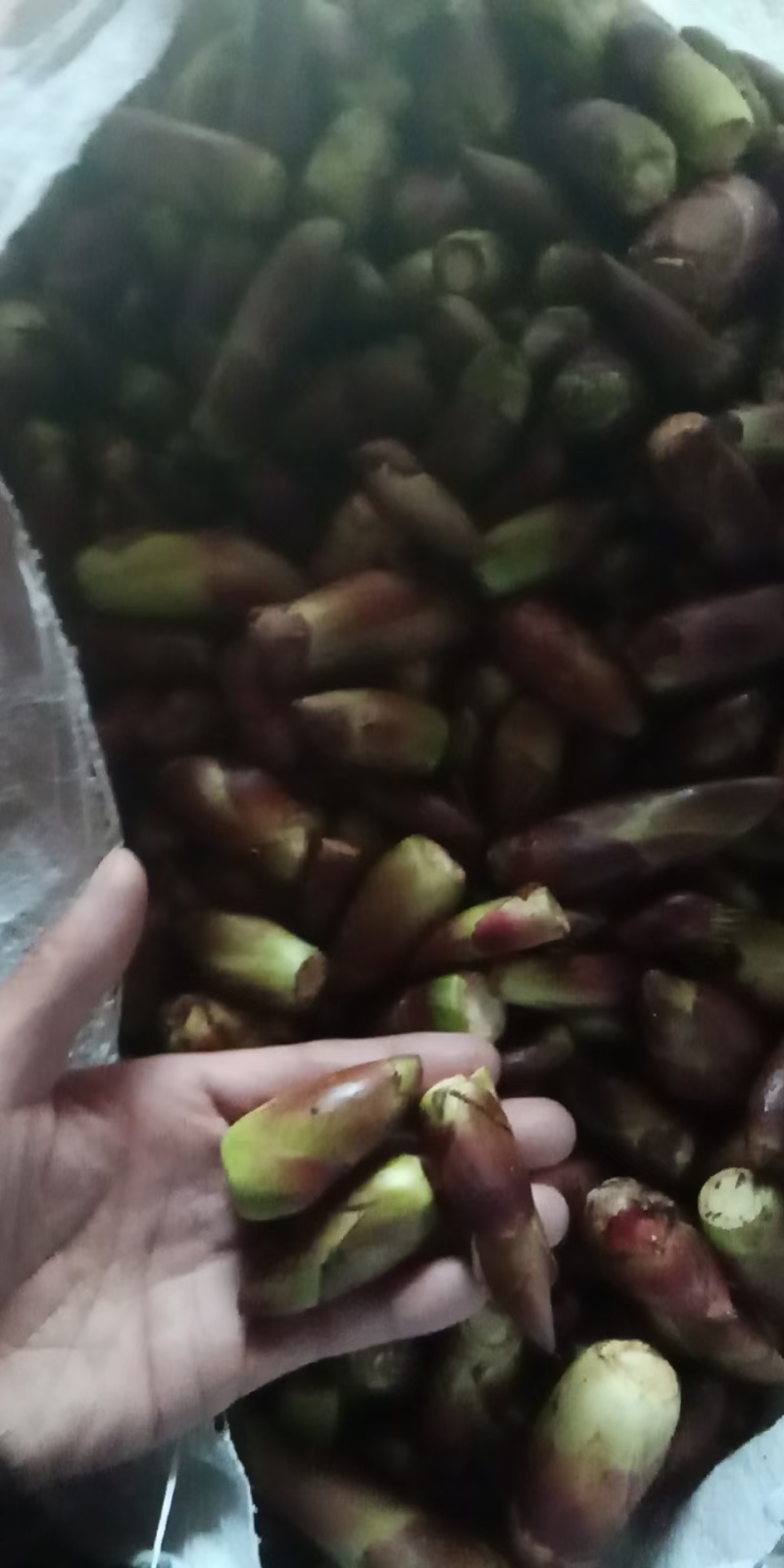 野菜
