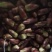 野菜