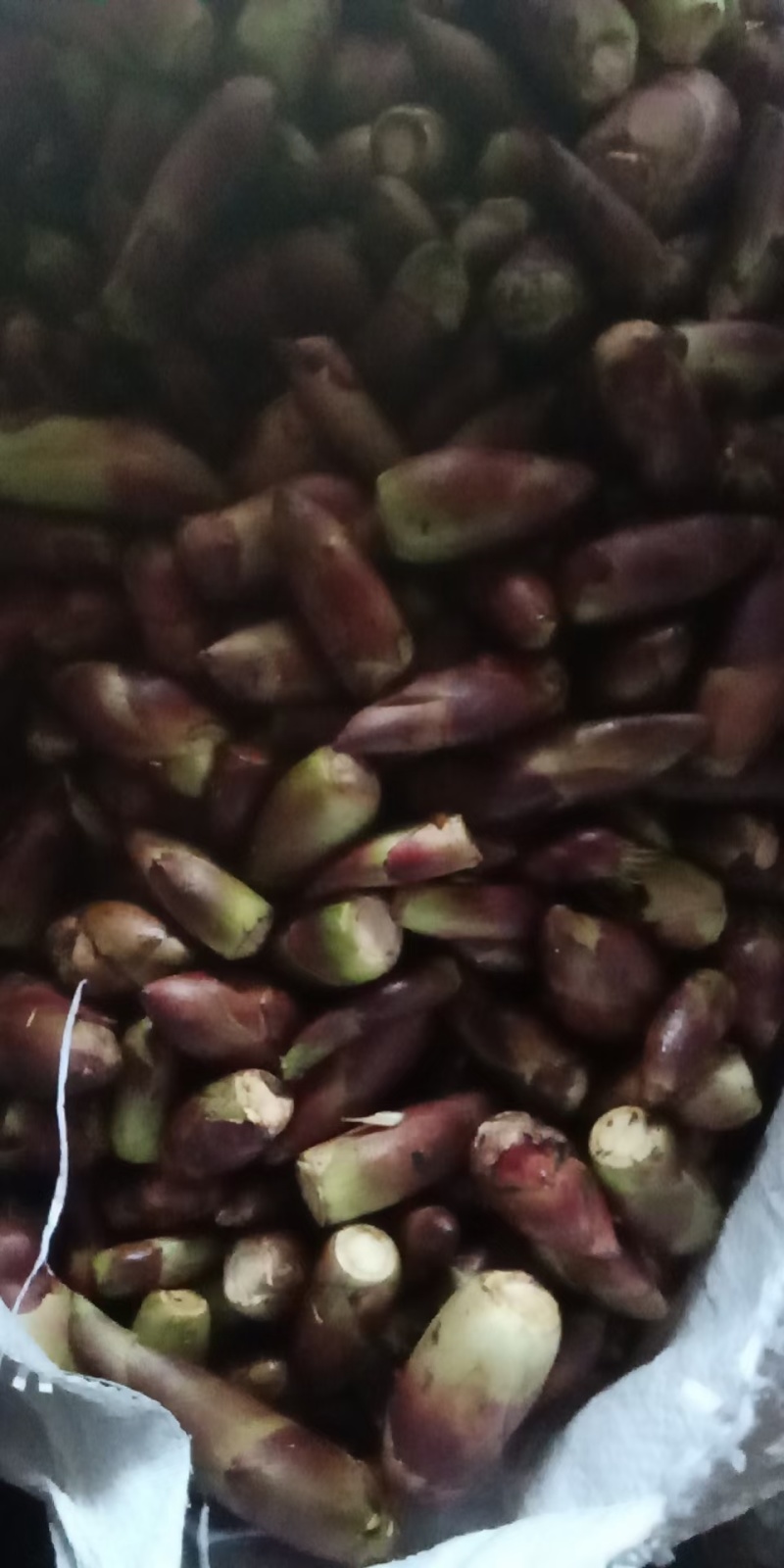 野菜