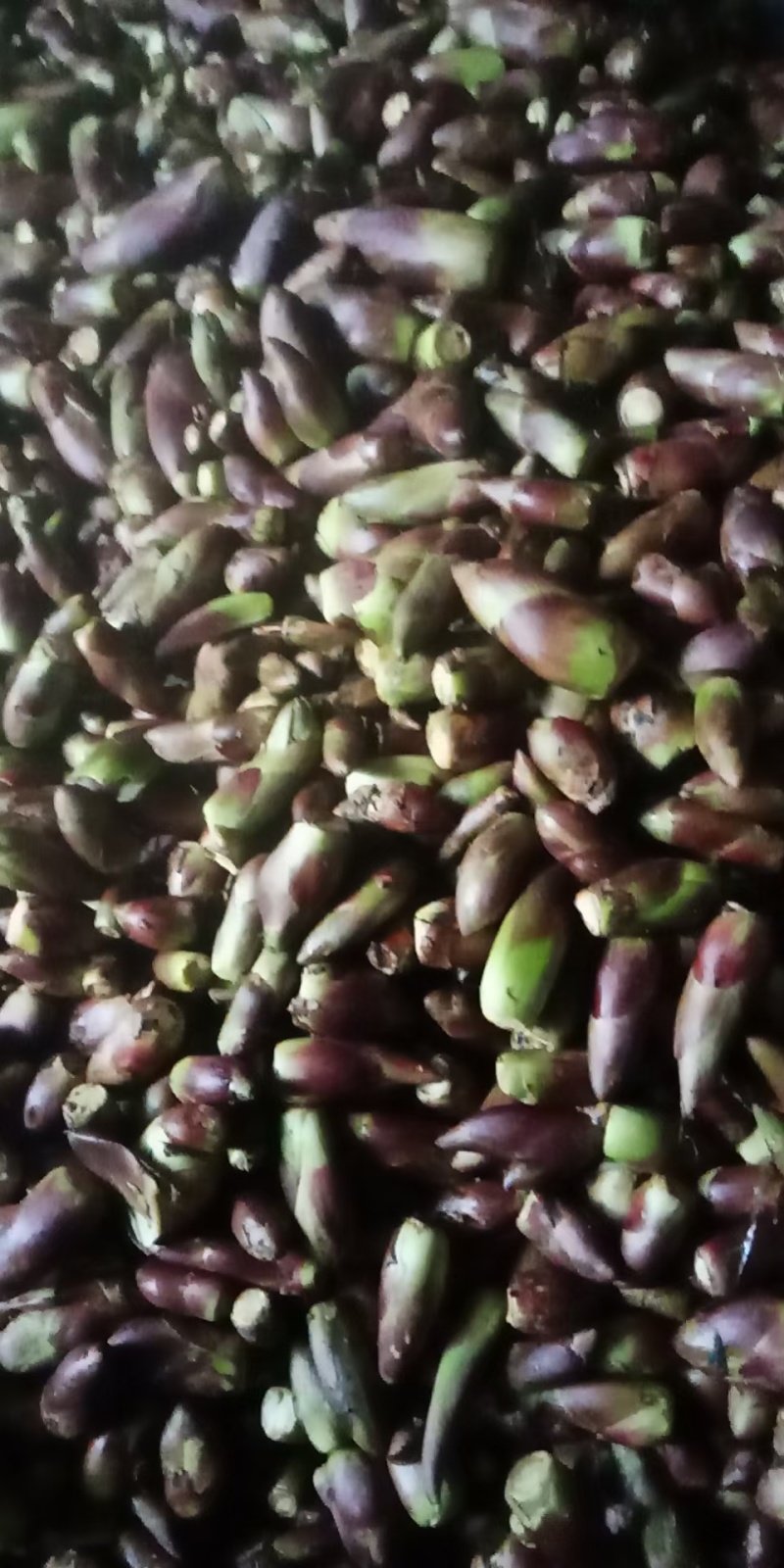 野菜