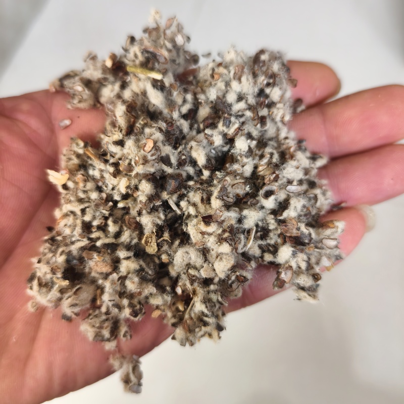 棉籽壳菌类蘑菇种植菌棒填充用