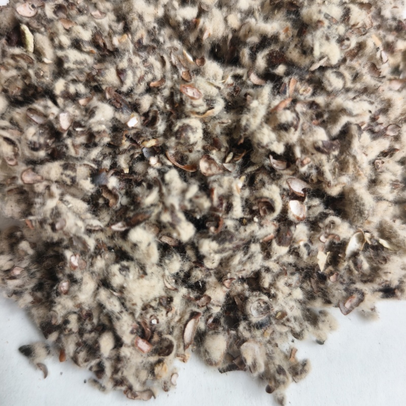 棉籽壳菌类蘑菇种植菌棒填充用