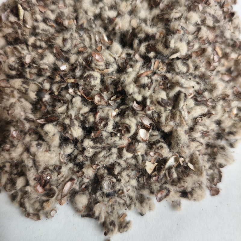 棉籽壳菌类蘑菇种植菌棒填充用