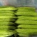 山东寿光精品苦瓜，品质保证，量大，电商，超市欢迎来询。