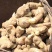 姜种山东【优质368高产姜种】大量供应
