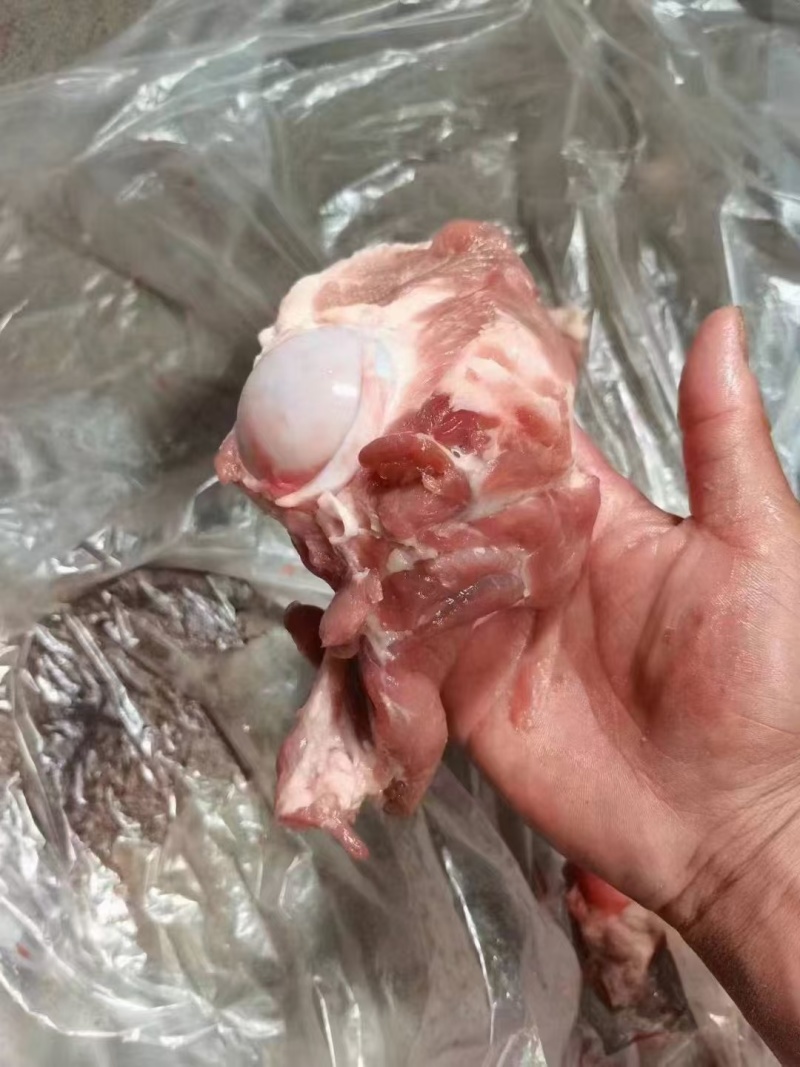 0617前腿骨到货，带肉多，价格低的一个棒骨