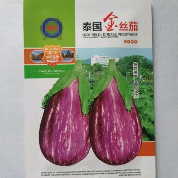 泰国金丝茄种子花茄子早熟杂交彩纹茄子种籽杂交品种