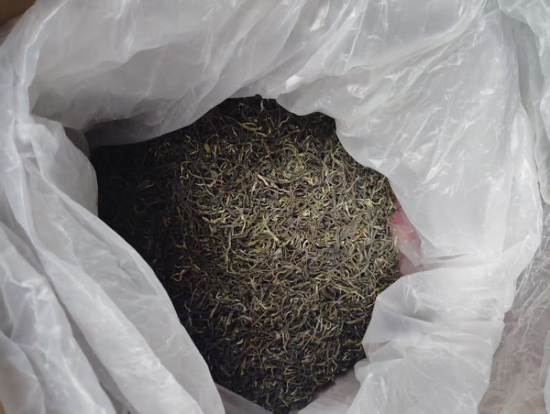 茶叶品质保证服务周到产地直发价格美丽