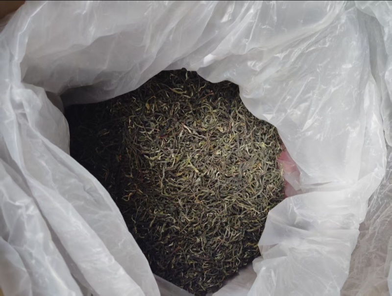 茶叶品质保证服务周到产地直发价格美丽